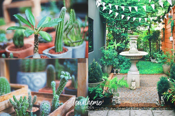 จัดสวนข้างบ้านพื้นที่น้อย จัดสวนข้างบ้านพื้นที่น้อย