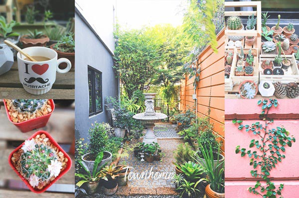 จัดสวนข้างบ้านพื้นที่น้อย จัดสวนข้างบ้านพื้นที่น้อย