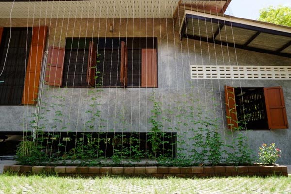 บ้านในสวน บ้านในสวน