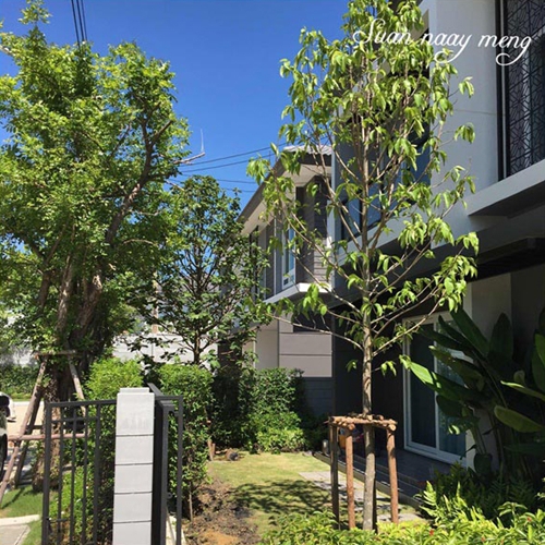 จัดสวนหน้าบ้านพื้นที่น้อย จัดสวนหน้าบ้านพื้นที่น้อย