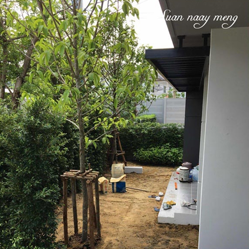 จัดสวนหน้าบ้านพื้นที่น้อย จัดสวนหน้าบ้านพื้นที่น้อย
