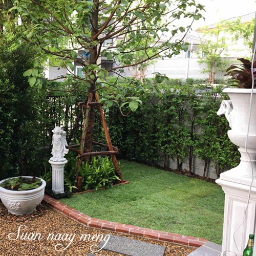 จัดสวนหน้าบ้านพื้นที่น้อย จัดสวนหน้าบ้านพื้นที่น้อย