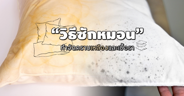 วิธีซักหมอนด้วยเครื่องซักผ้า วิธีซักหมอนด้วยเครื่องซักผ้า