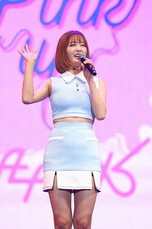 Apink Apink