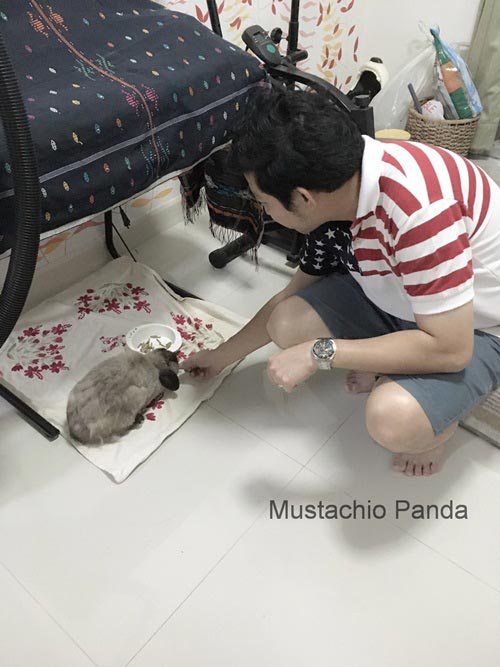 ประตูกระต่ายแบบติดมุ้งลวด ประตูกระต่ายแบบติดมุ้งลวด