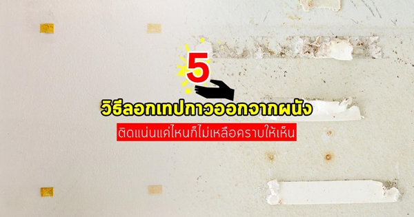 วิธีลอกเทปกาวออกจากผนัง วิธีลอกเทปกาวออกจากผนัง