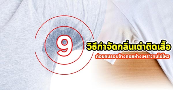 วิธีกำจัดกลิ่นเต่าติดเสื้อ วิธีกำจัดกลิ่นเต่าติดเสื้อ