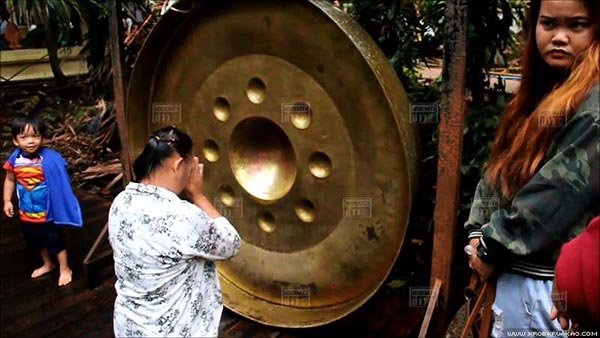 ต้นมะเดื่อยักษ์คำชะโนด ต้นมะเดื่อยักษ์คำชะโนด