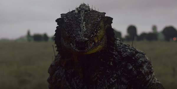 Oats Studios Oats Studios