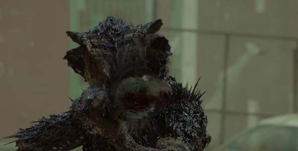 Oats Studios Oats Studios