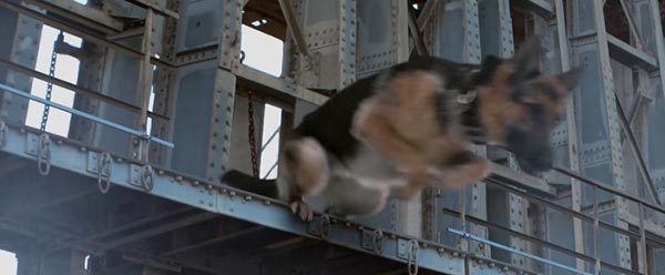 A Dog s Purpose A Dog s Purpose