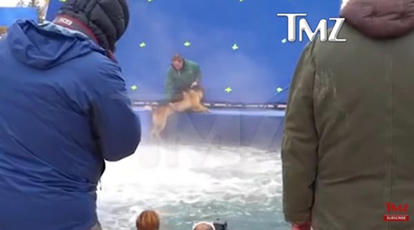 A Dog s Purpose A Dog s Purpose