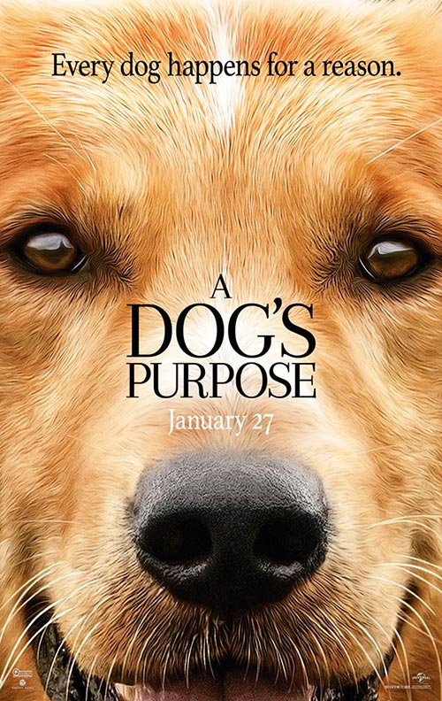 A Dog s Purpose A Dog s Purpose