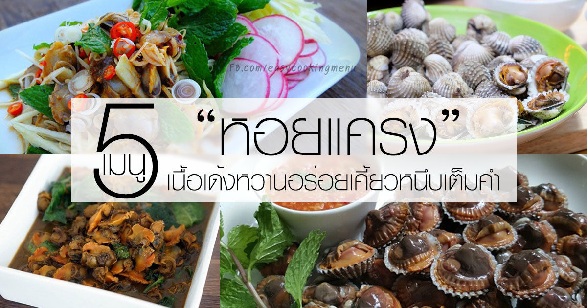 หอยแครง หอยแครง
