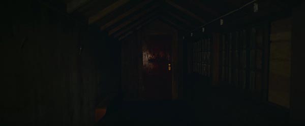 It Comes at Night It Comes at Night