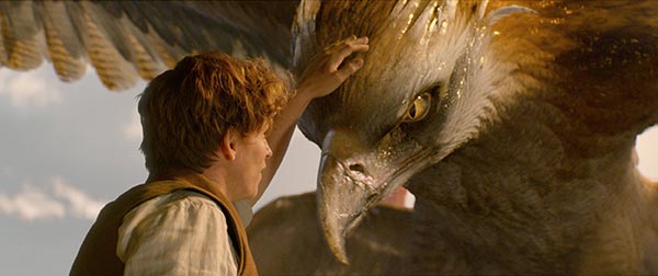 Fantastic Beasts and Where to Find Them 2 Fantastic Beasts and Where to Find Them 2