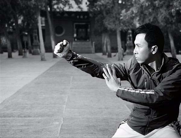 Ip Man 4 Ip Man 4