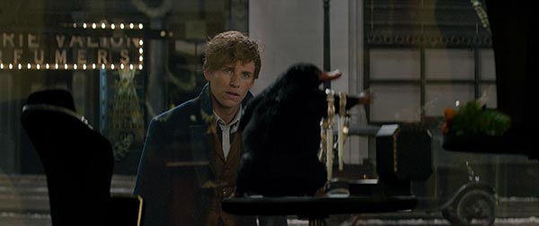 Fantastic Beasts 2 Fantastic Beasts 2