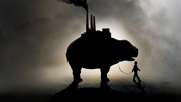 Okja Okja