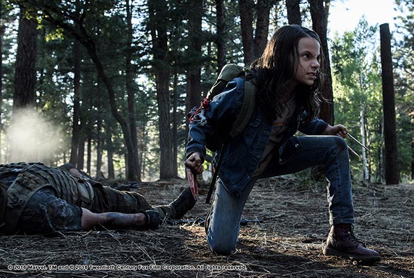 X 23 X 23