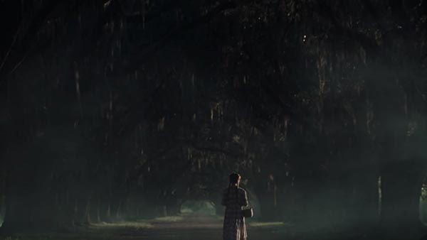 The Beguiled The Beguiled