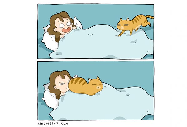 ทาสแมว ทาสแมว