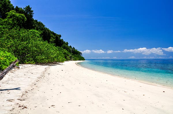 ชายหาด ชายหาด