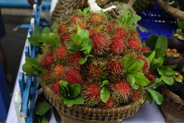 สวนผลไม้ ภาคตะวันออก สวนผลไม้ ภาคตะวันออก