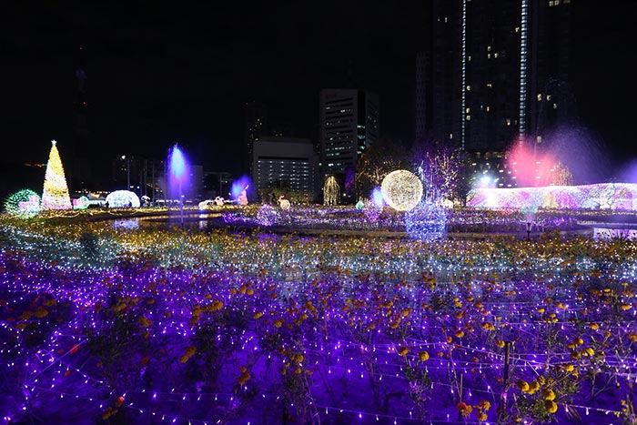 งานศิลป์แสงแห่งแรงบันดาลใจ งานศิลป์แสงแห่งแรงบันดาลใจ