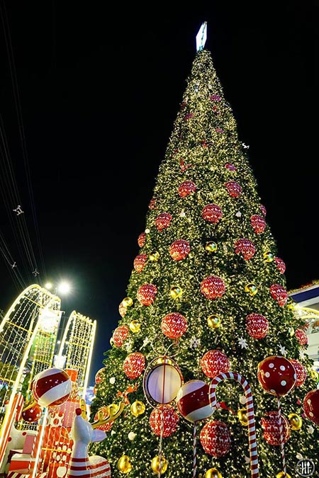เที่ยวโคราช เที่ยวโคราช