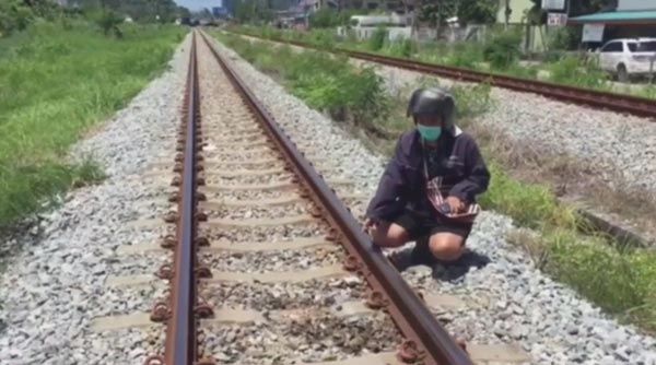 ยิงหมาจรจัด ยิงหมาจรจัด