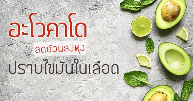 อะโวคาโด อะโวคาโด