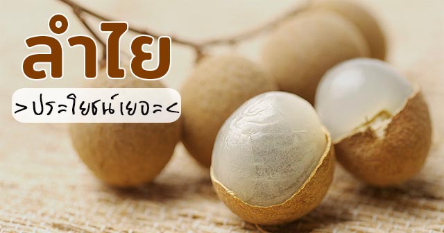 ลำไย ลำไย