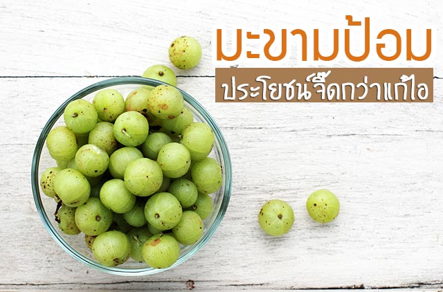 มะขามป้อม มะขามป้อม