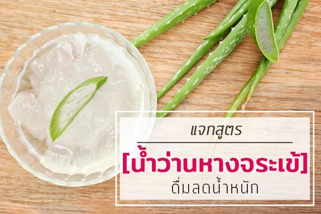 น้ำว่านหางจระเข้ น้ำว่านหางจระเข้