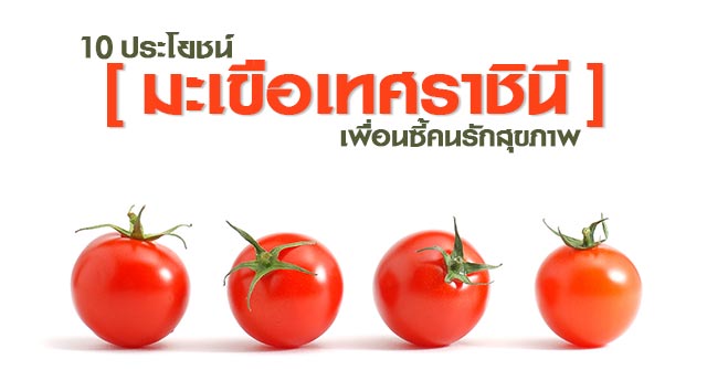 มะเขือเทศราชินี มะเขือเทศราชินี