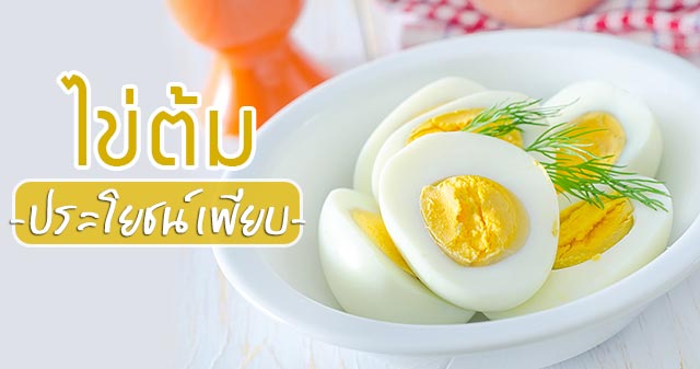 ไข่ต้ม ไข่ต้ม