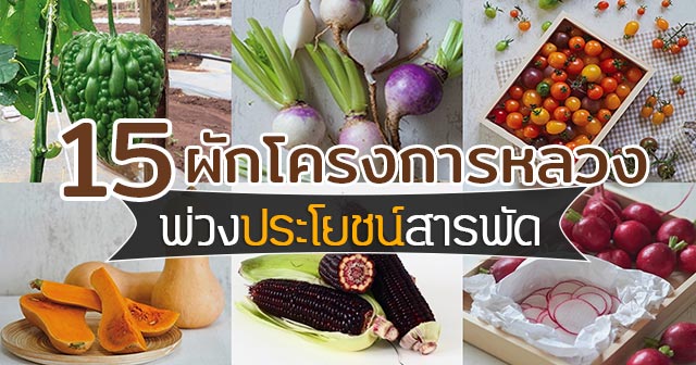 ผลิตภัณฑ์โครงการหลวง ผลิตภัณฑ์โครงการหลวง