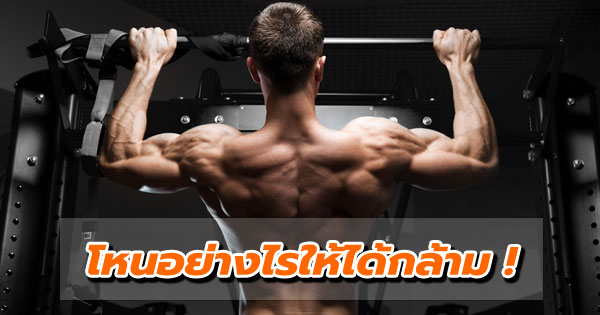 วิธีสร้างกล้ามเนื้อ วิธีสร้างกล้ามเนื้อ