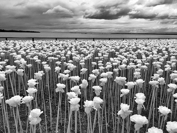 iPhone Photography Awards iPhone Photography Awards
