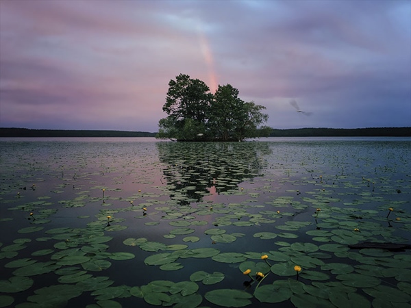 iPhone Photography Awards iPhone Photography Awards