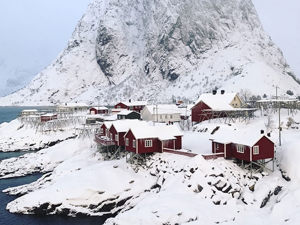 iPhone Photography Awards iPhone Photography Awards