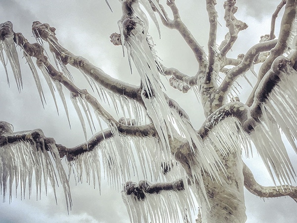 iPhone Photography Awards iPhone Photography Awards