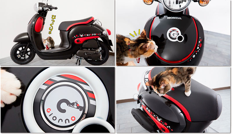 Honda Giorno Kumamon Version Honda Giorno Kumamon Version