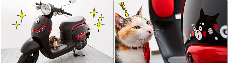 Honda Giorno Kumamon Version Honda Giorno Kumamon Version