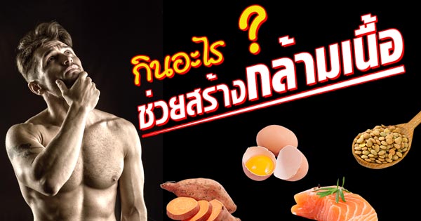 อาหารสร้างกล้ามเนื้อ อาหารสร้างกล้ามเนื้อ