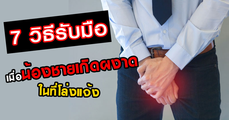 อวัยวะเพศชาย อวัยวะเพศชาย