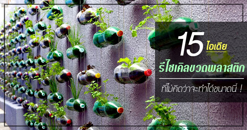 รีไซเคิลขวดพลาสติก รีไซเคิลขวดพลาสติก