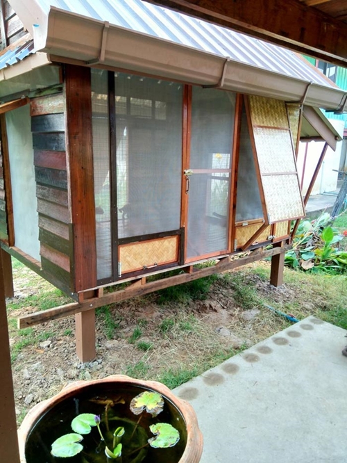 บ้านแมว บ้านแมว