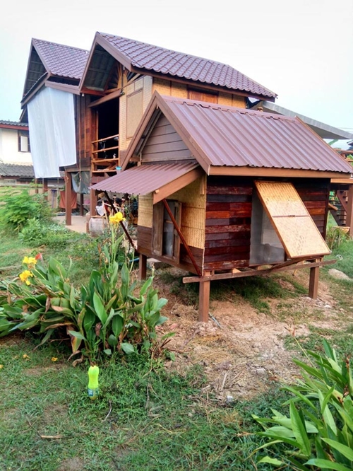 บ้านแมว บ้านแมว